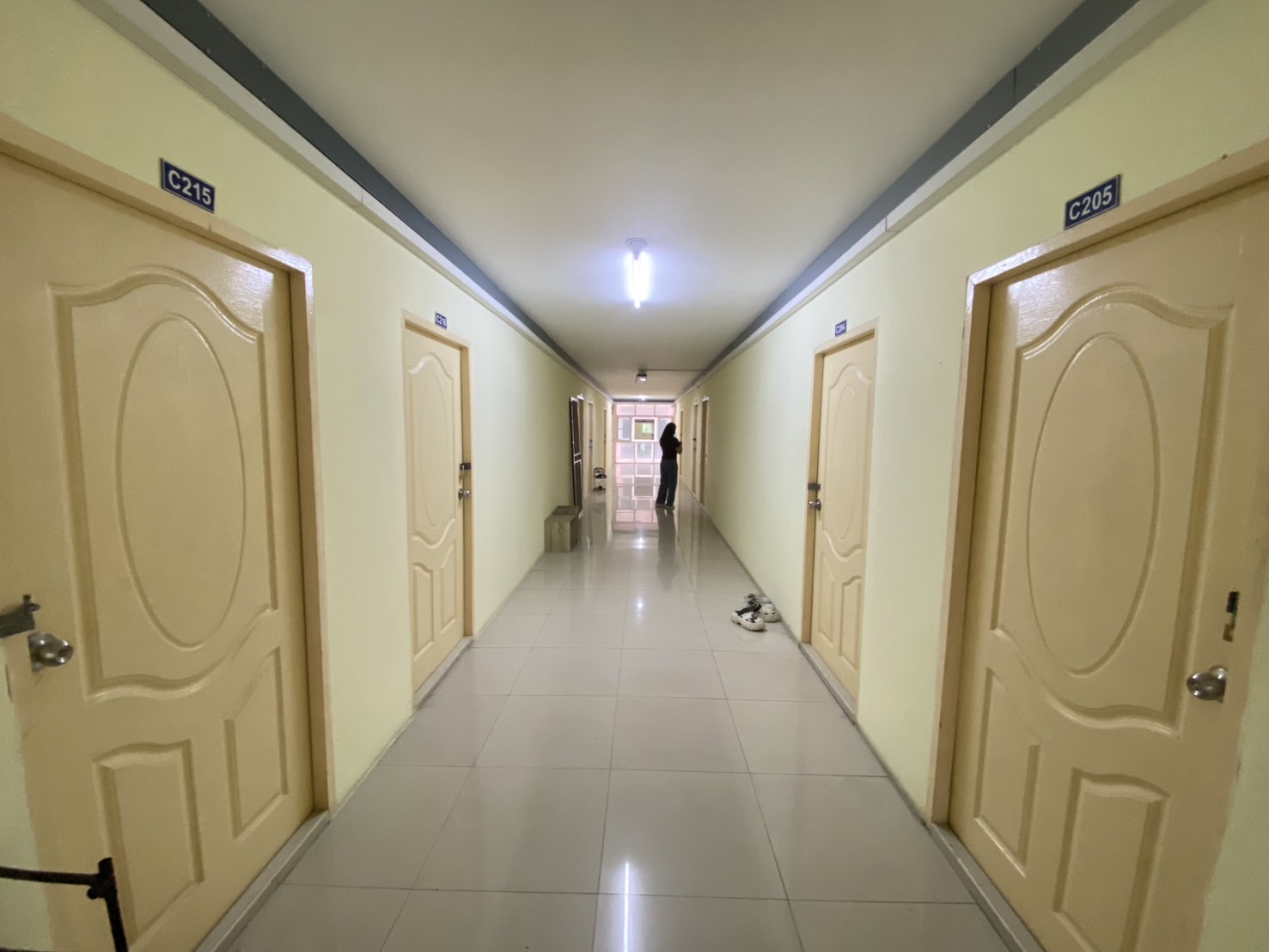 Image 6